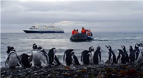 Отключитесь от современных гаджетов с помощью этих 8 круизов