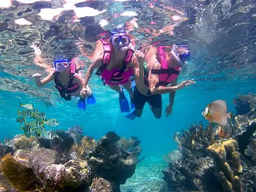 Безграничное развлечение для всех возрастов в отеле Xcaret Mexico