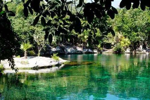 Как быть экологичным во время путешествия