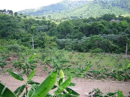 Попробуйте эти веселые экскурсии в Доминиканской Республике