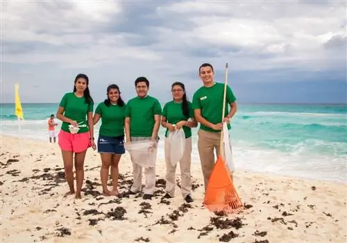 Плайя становится зеленой