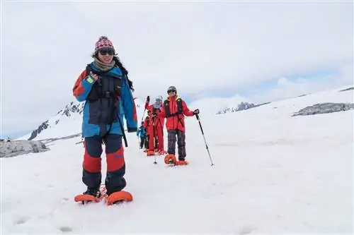 Познакомьтесь с экспертами Хуртигрутен в Антарктиде