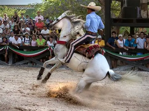 Экскурсия, которая понравится детям