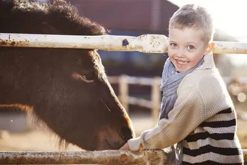 Семьи находят приключения на ранчо для чуваков в Колорадо