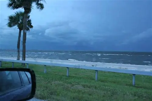 Агент агенту: Встреча после Ирмы