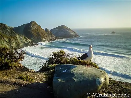Наши 6 любимых остановок в летнем путешествии по побережью Калифорнии