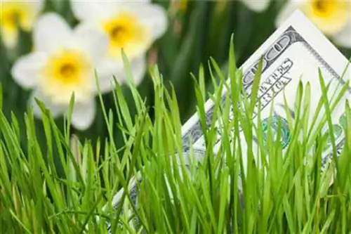 Мы не играем, мы платим