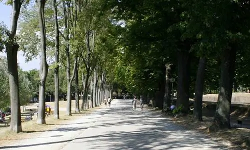 Прогулка по стене (Лукка)