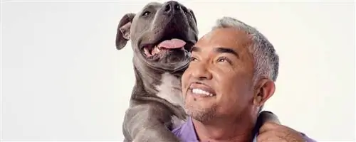 Сезар Миллан в прямом эфире из Сандоса Каракола