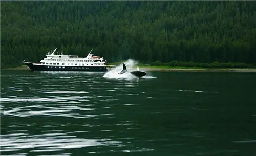 6 лучших круизных линий для эко-путешествий