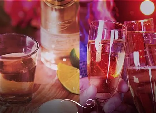 Ваш идеальный отдых для девушек ждет на курортах Breathless Resorts