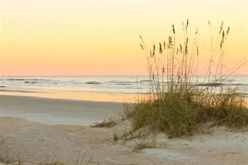 Развлечения во Флориде в Розмари-Бич