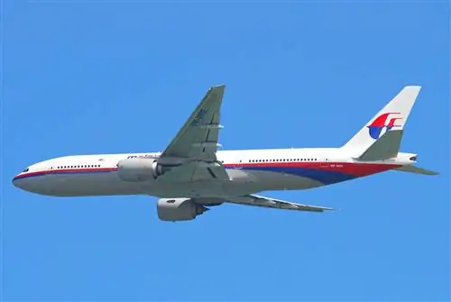Найдут ли они когда-нибудь MH370?