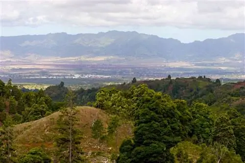 Походные тропы острова Оаху