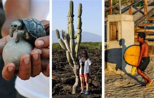 5 причин продать туры по Галапагосским островам