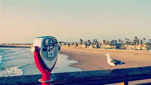 7 причин сбежать из Ньюпорт-Бич