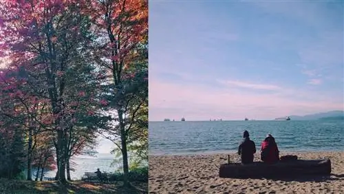 Лучшее из Ванкувера