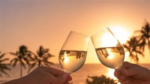 25 советов, как получать больше вознаграждений за путешествия за повседневные расходы