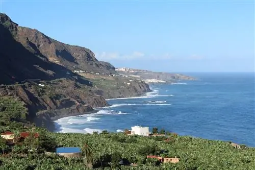 13 вещей, которые обязательно стоит посетить на Тенерифе