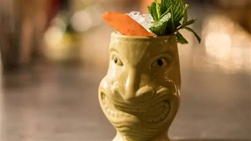 25 напитков на заказ на Гавайях, кроме Май Тай