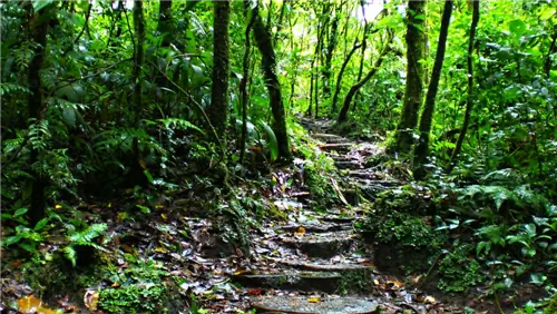 Кочевая нация: почему многие люди путешествуют в одиночку