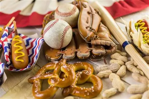 Этим летом вещь, которую нужно съесть на каждом стадионе MLB