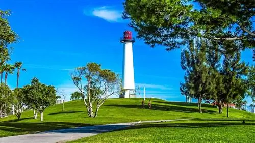 25 самых пешеходных городов США