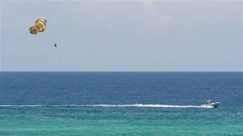 10 Чем заняться на Изумрудном побережье Флориды