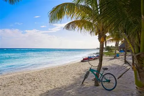 Хорошие новости из стран Мексиканского Карибского бассейна о восстановлении путешествий