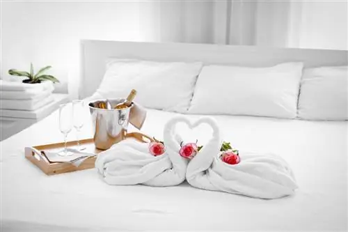 Уголок Коди: делаем все возможное