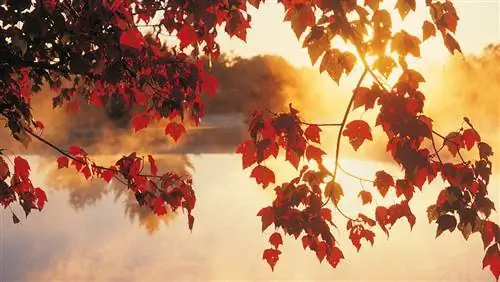 6 круизов, которые нельзя пропустить осенью