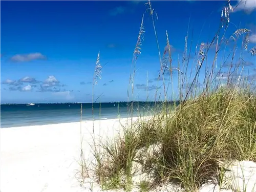 Дело не в том, можете ли вы поехать во Флориду сейчас, а стоит ли?
