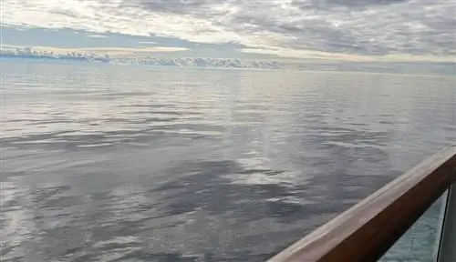 Как мы справились с заражением COVID на круизном лайнере