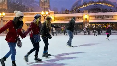 Где покататься на коньках в Чикаго