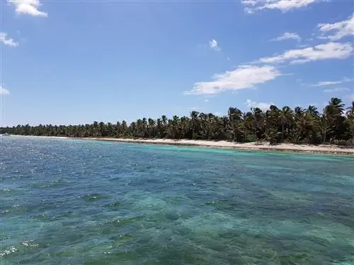 Чего нам стоила пандемия?