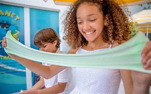 Воссоединиться с семьей на Санни-Айлс