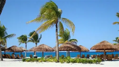 Почему ваш следующий отпуск должен быть на Косумеле