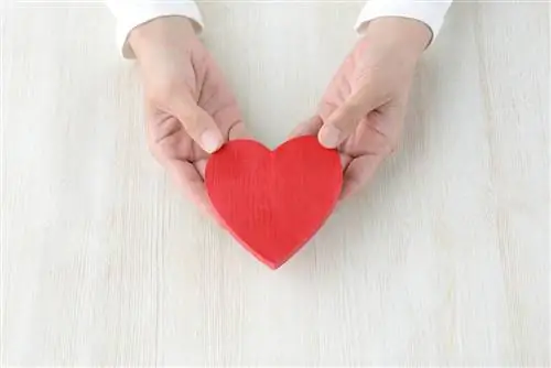 Краткое описание путешествия Боумана: Рок-звезды туристической индустрии