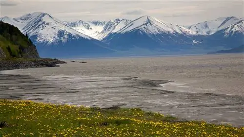 Самое чудесное время года