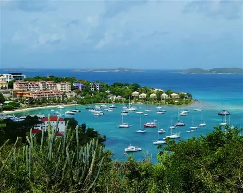 В каких странах Карибского бассейна наблюдается наибольший рост туризма?