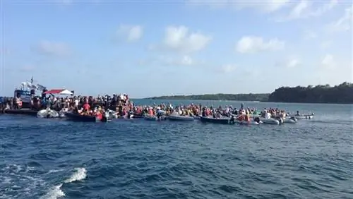 Шоу на море: Концерты на лодках Гренады