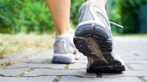 Выбор Collette в отношении лучшей обуви для путешественников