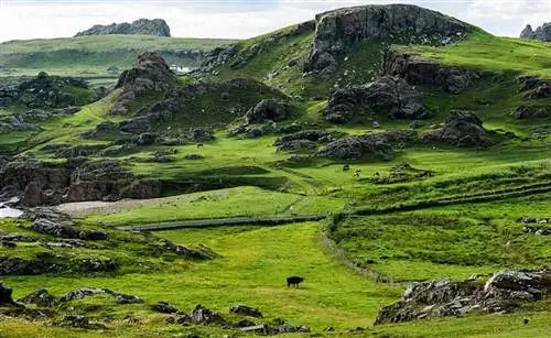 Учебные курсы CIE Tours лучше, чем когда-либо