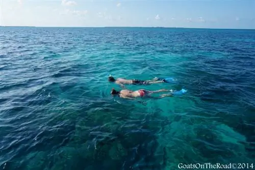 подводное плавание