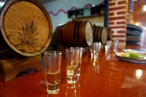 текила в Мексике