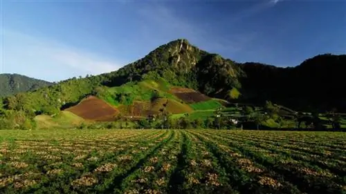 Выбирайте из бесконечного количества вариантов, когда посетите Панаму