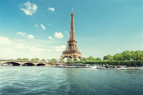 Круиз по Новой реке Таука подчеркивает растущий семейный рынок