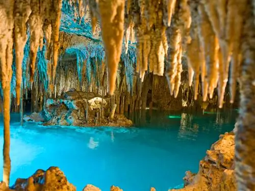 Годы истории Земли, спрятанные в парке приключений