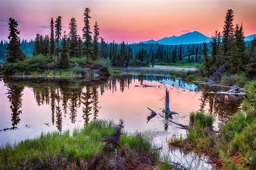 15 самых тихих национальных парков страны