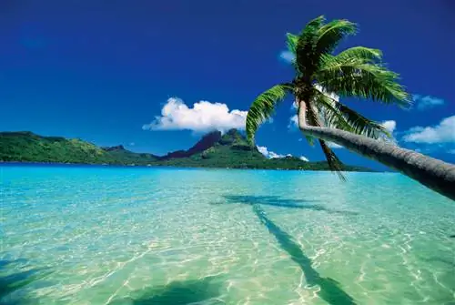 Самые желанные направления для будущих путешествий американцев